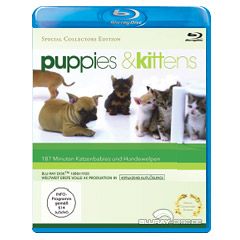 Puppies-and-Kittens.jpg